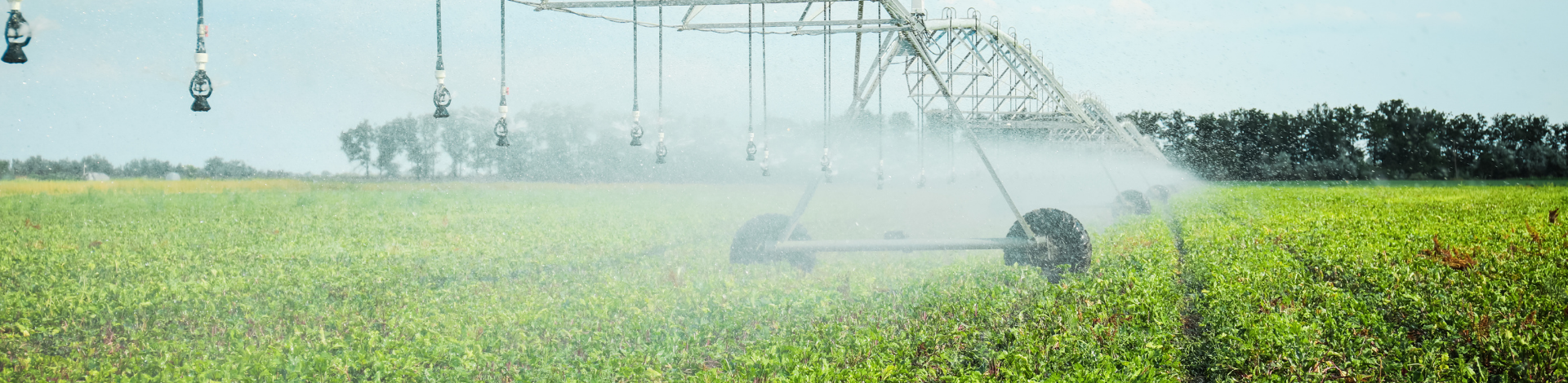 H2Flo: Hace que cada gota de agua y cada gramo de fertilizante cuenten