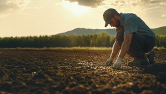 ¿Cómo mejorar la nutrición de los cultivos en suelos calcáreos?