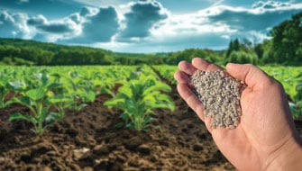 Los 5 beneficios del Polysulphate en la fertilidad y conservación del suelo