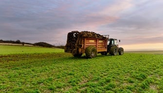 ¿Qué son los fertilizantes orgánicos?