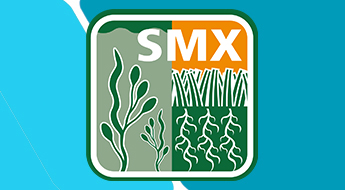 SMX: a new seaweed product for sports turf