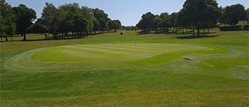Riptide helps to transform the greens at Dudsbury