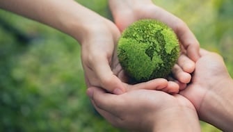 Fertilisers’ Effect on the Environment: Not What You Expect!