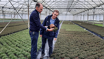 Tully Nurseries embraces sustainable growing media