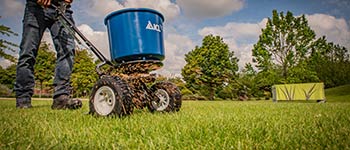 The Future of Turf Management: Sustainable Solutions with Controlled Release Fertilisers