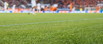 Vitalnova Links: Supporting winter sports pitch grow-ins