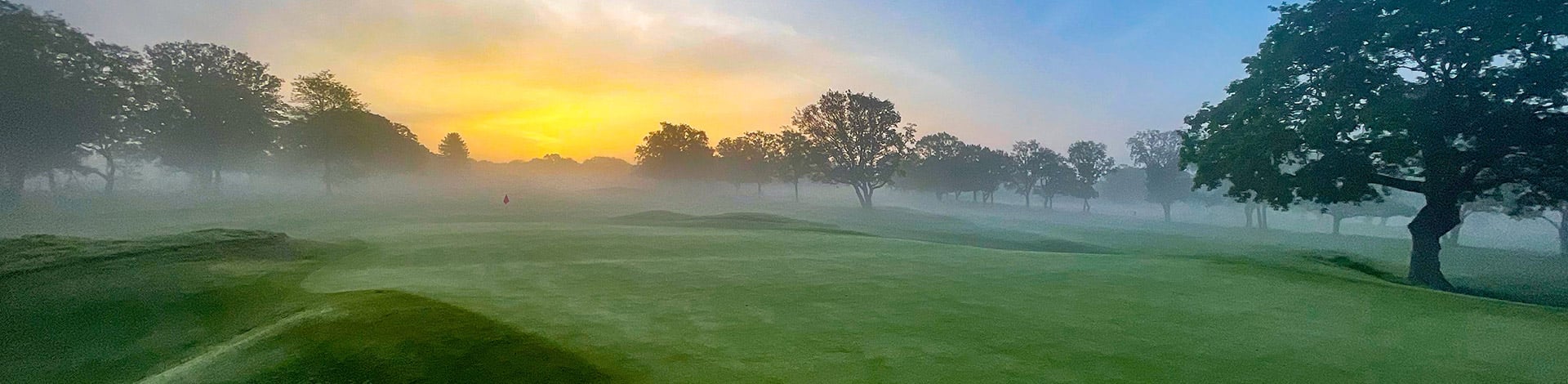 Benefits of Gronamic Golf 6-2-4: A hybrid fertiliser