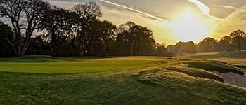 Stress management on golf greens during the summer
