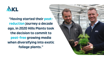 Impressive peat-free exotic foliage plants