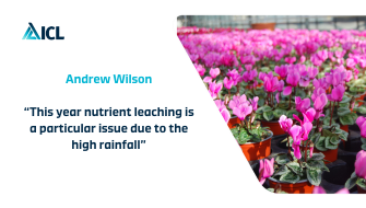 Optimising water solubles in a wet year