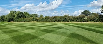 Sierrablen Plus: A Success Story from Stratford Oaks Golf Club