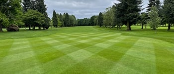Coventry Hearsall Golf Club’s success with Sierrablen Plus