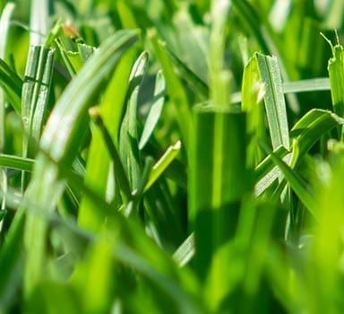 Benefits of recycled phosphorus