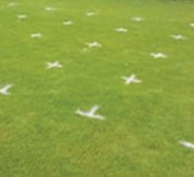Turf response longevity trial