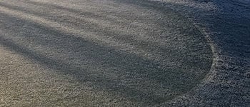 Early season recovery nutrition on golf greens trial #2