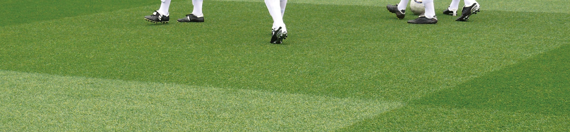 PitchFocus: End-of-Season Renovation