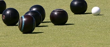 Bowling Green Digest: Spring 2025 | Part 1
