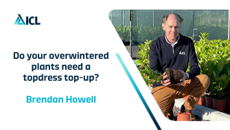 Do your overwintered plants need a topdress top-up?