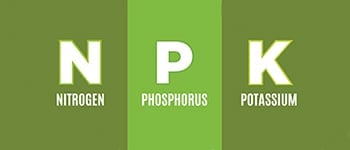 A beginners guide to understanding NPK in turf management