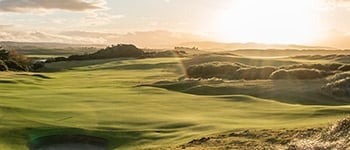 Wetting agent longevity trial findings