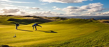 Do biostimulants make a big difference to turf quality?