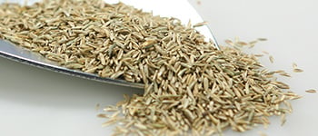 ProSelect: Trusted Quality, Proven Purity – Built on the Higher Voluntary Standard