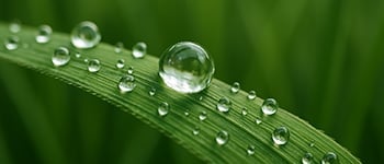 Improving water management at Goswick