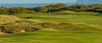 Summer turf diseases on golf greens: What to watch for and why