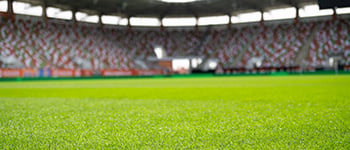 Understanding summer disease risk in stadia