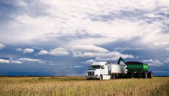 9 Reasons to Choose Polysulphate® for Fall-Applied Sulphur in Canola