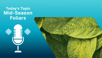 The Bottom Line Podcast | Mid-Season Foliar Nutrition Fast Facts