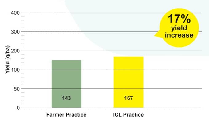 Increase of 17% observed in yield of Onions during trials at Shirur, Maharashtra