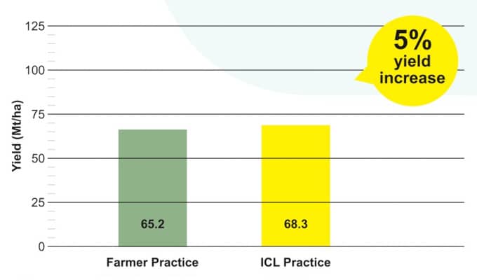 Increase of 5% observed in yield of Banana during trials at Raver, Maharashtra
