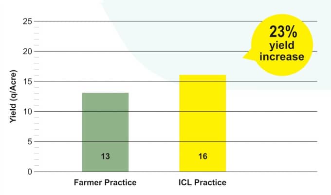 Bottle Gourd Yield increased by 23% during trials at Chikballapur, Karnataka