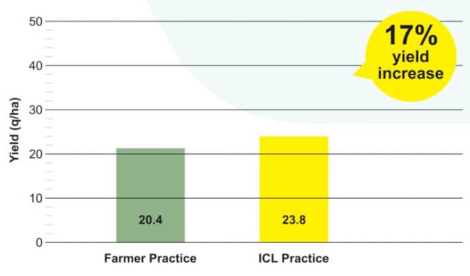 Cotton Yield increased by 17% during trials at Beed, Maharashtra