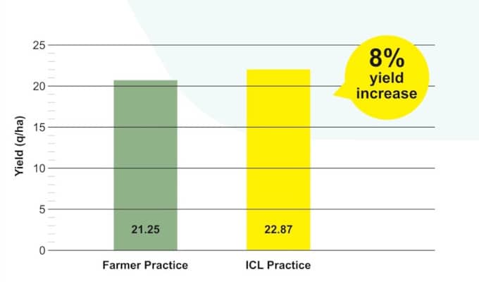 Cotton Yield increased by 8% during trials at Khultabad, Maharashtra