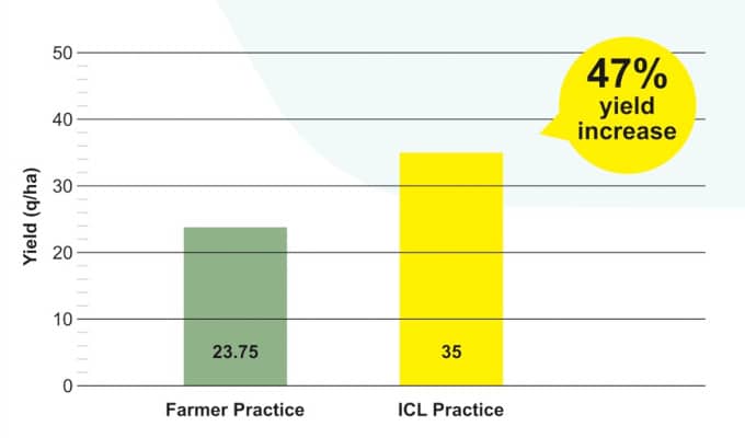 Cotton Yield increased by a whooping 47% during trials at Sillod, Maharashtra