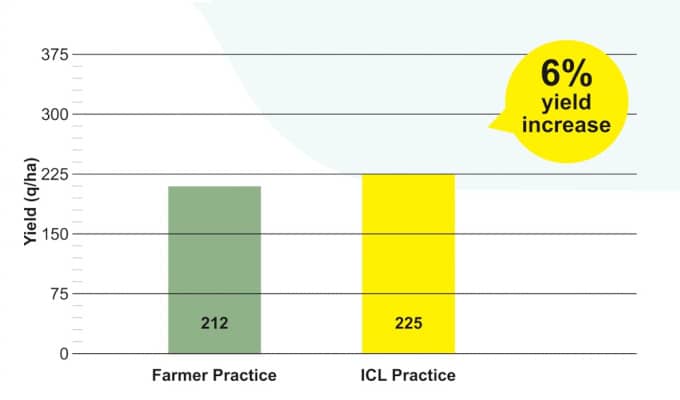 Increase of 6% observed in yield of Grapes during trials at Kavathemahankal, Maharashtra