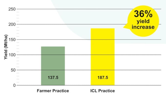 Increase of 36% observed in yield of Sugarcanes during trials at Uttar Solapur, Maharashtra