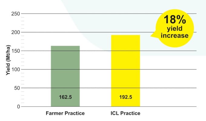 Increase of 18% observed in yield of Sugarcanes during trials at Baramati, Maharashtra